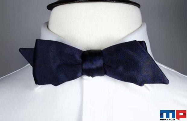 مهمترین نکات در خرید پاپیون