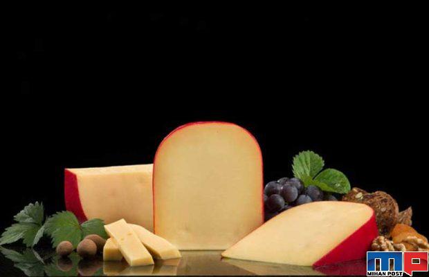 مهمترین نکات در خرید پنیر گودا 2 مهمترین نکات در خرید پنیر گودا