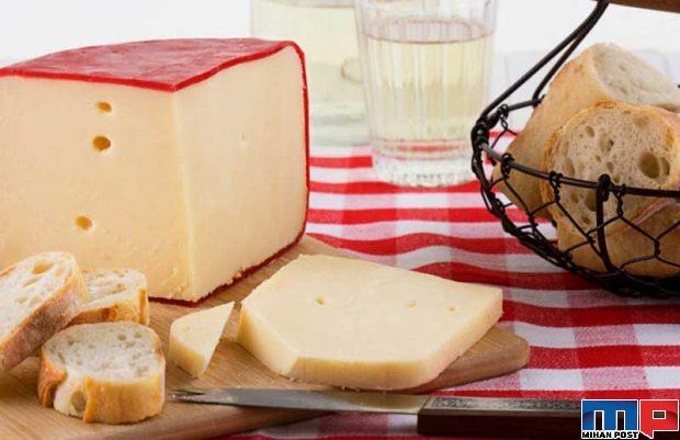 مهمترین نکات در خرید پنیر گودا 3 مهمترین نکات در خرید پنیر گودا