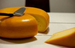 مهمترین نکات در خرید پنیر گودا