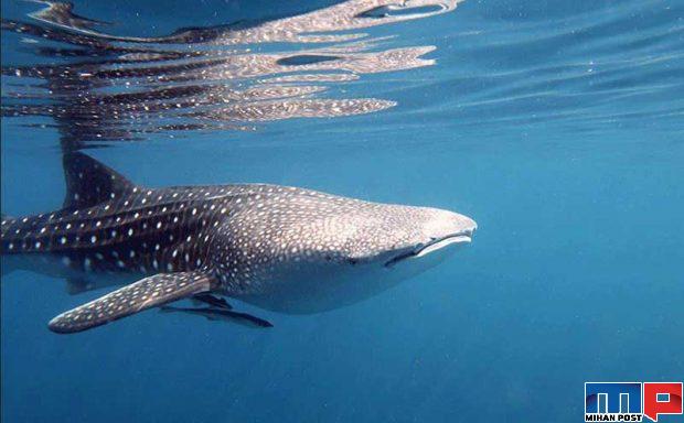 تصاویر دیدنی از کره زمین