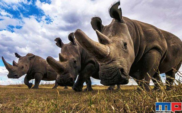 تصاویر دیدنی از کره زمین