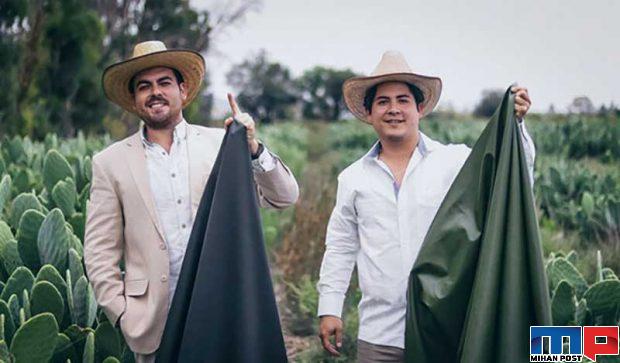 ساخت چرم از کاکتوس ابتکار دو تولیدکننده مکزیکی را تماشا کنید 2 ساخت چرم از کاکتوس