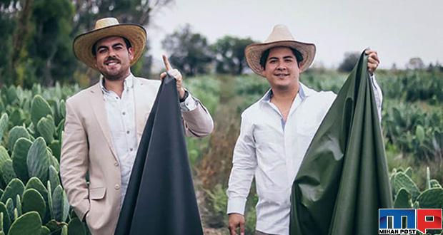 ساخت چرم از کاکتوس ابتکار دو تولیدکننده مکزیکی را تماشا کنید 37 ساخت چرم از کاکتوس