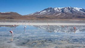 سفر به سالاردو ییونی