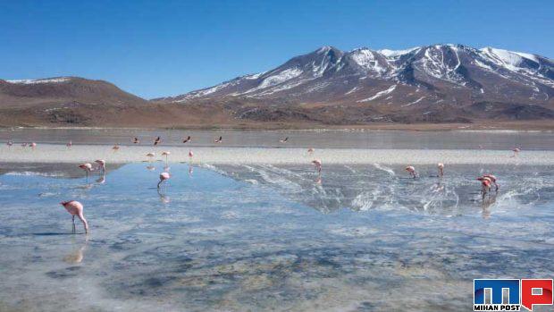 سفر به سالاردو ییونی