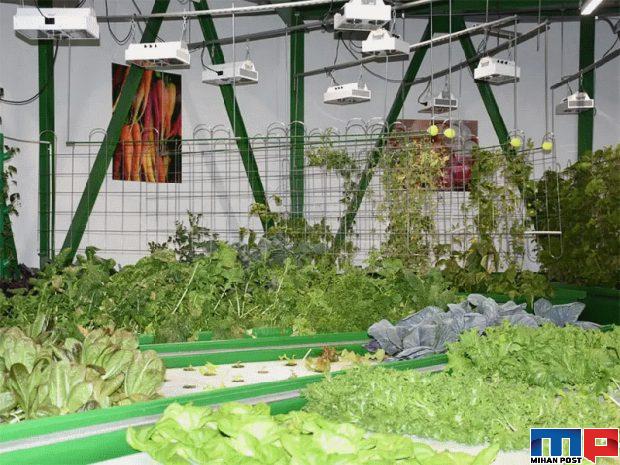 بازدید از خانه های آخرالزمانی که در مقابل ورود ویروس کرونا مقاوم اند 14 بازدید از خانه های آخرالزمانی