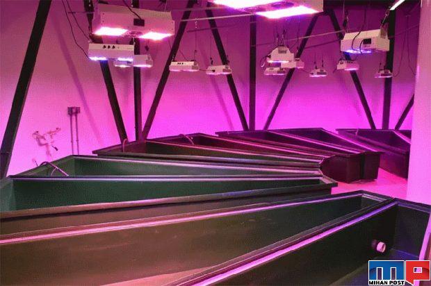 بازدید از خانه های آخرالزمانی که در مقابل ورود ویروس کرونا مقاوم اند 15 بازدید از خانه های آخرالزمانی