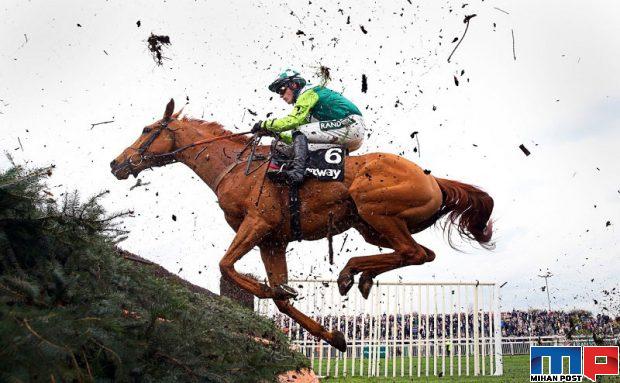 برندگان مسابقه جهانی عکاسی ورزشی