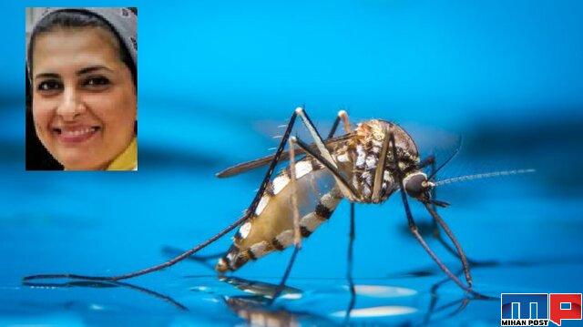 تغییر جنسیت پشه با استفاده از یک ژن توسط دانشمند ایرانی 15 تغییر جنسیت پشه