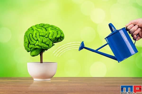 تقویت حافظه با استفاده از راهکارهای مدرن و خلاقانه 2 تقویت حافظه