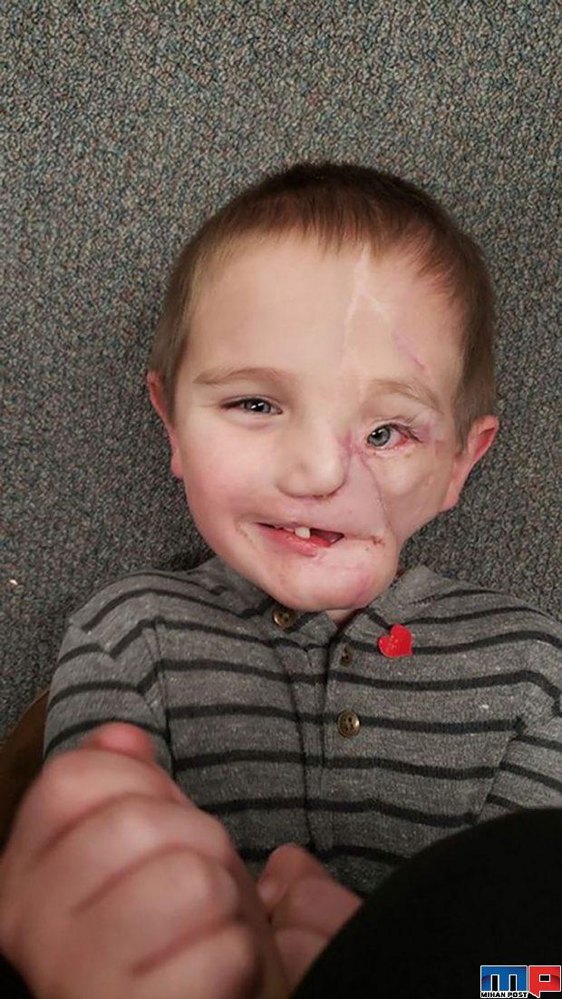 رایدر ولز Ryder Wells