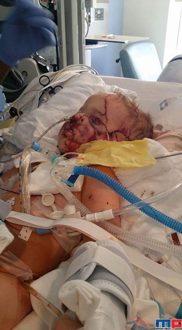 رایدر ولز Ryder Wells