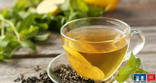 مهمترین نکات برای خرید چای سبز 13 مهمترین نکات برای خرید چای سبز