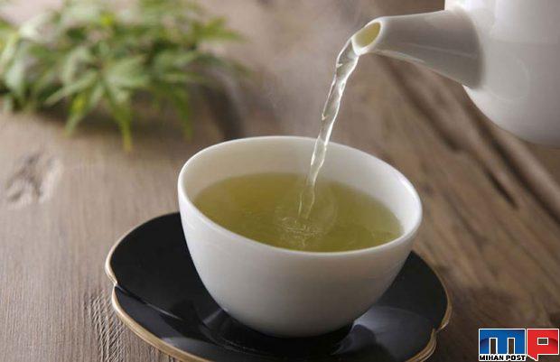مهمترین نکات برای خرید چای سبز 3 مهمترین نکات برای خرید چای سبز