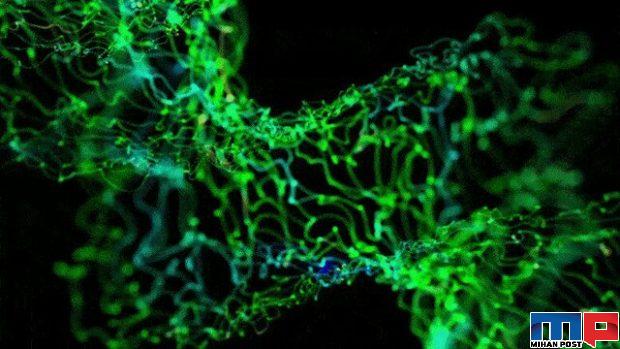 میکروب‌ های فرازمینی