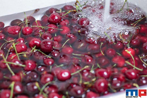 نگهداری از آلبالو و گیلاس به مدت بسیار طولانی 4 نگهداری از آلبالو