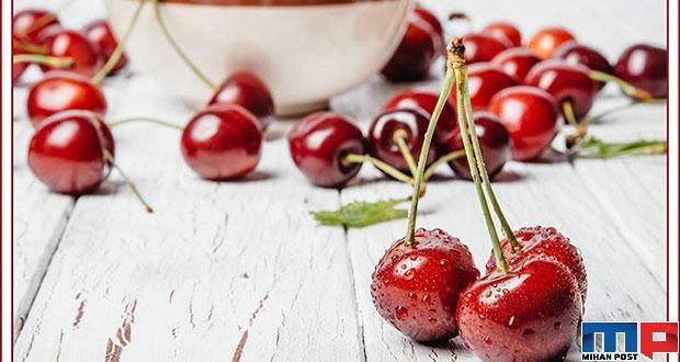 نگهداری از آلبالو