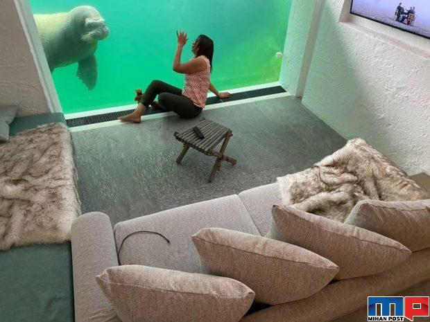 هتل زیرآبی در باغ وحش در شهر بروژولت بلژیک افتتاح شد 2 هتل زیرآبی در باغ وحش