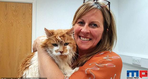 پیرترین گربه دنیا با 31 سال سن از بین رفت + عکس 5 پیرترین گربه دنیا