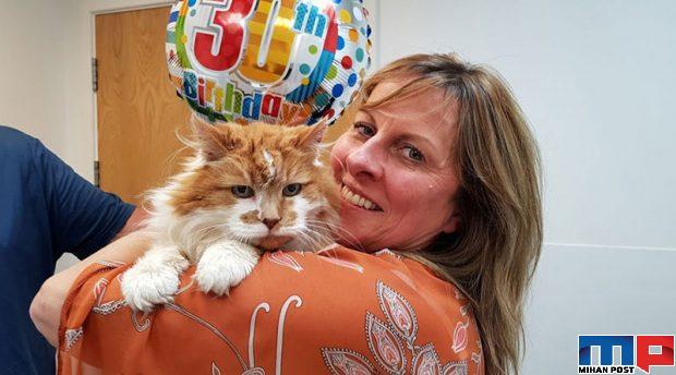 پیرترین گربه دنیا