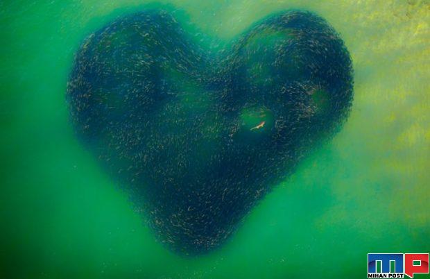 برندگان مسابقه عکاسی با پهپاد 2020 را بشناسید 3 برندگان مسابقه عکاسی با پهپاد 2020