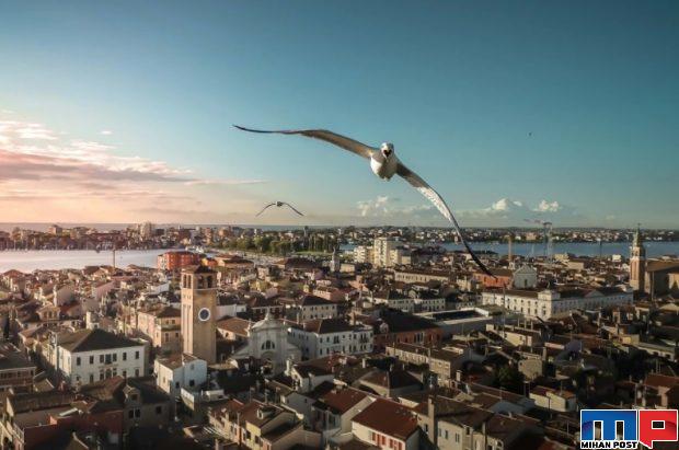 برندگان مسابقه عکاسی با پهپاد 2020 را بشناسید 4 برندگان مسابقه عکاسی با پهپاد 2020