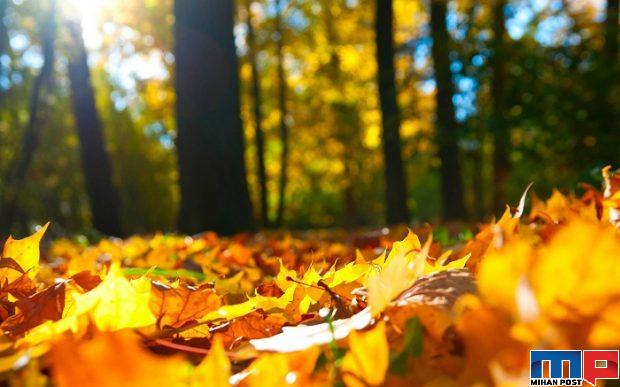 جشن مهرگان بزرگترین آیین ایرانیان باستان پس از نوروز را بشناسید 3 جشن مهرگان