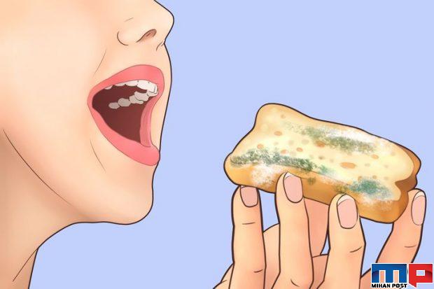خوردن غذای کپک زده چه مشکلاتی برای انسان به وجود می آورد 3 خوردن غذای کپک زده