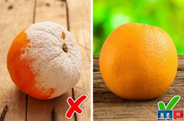 خوردن غذای کپک زده چه مشکلاتی برای انسان به وجود می آورد 4 خوردن غذای کپک زده