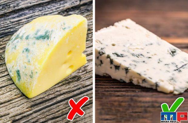 خوردن غذای کپک زده چه مشکلاتی برای انسان به وجود می آورد 5 خوردن غذای کپک زده