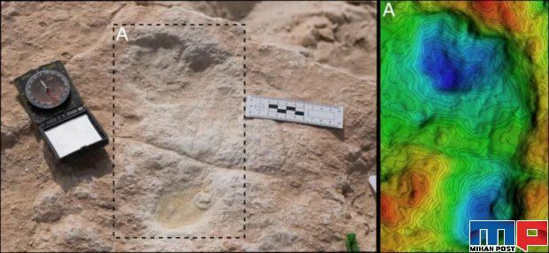 ردپای انسان خردمند در عربستان
