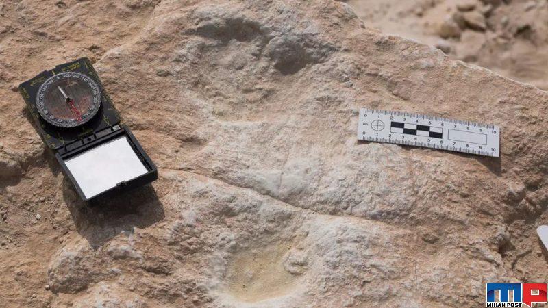 ردپای انسان خردمند در عربستان با قدمت 120 هزار سال کشف شد 6 ردپای انسان خردمند در عربستان