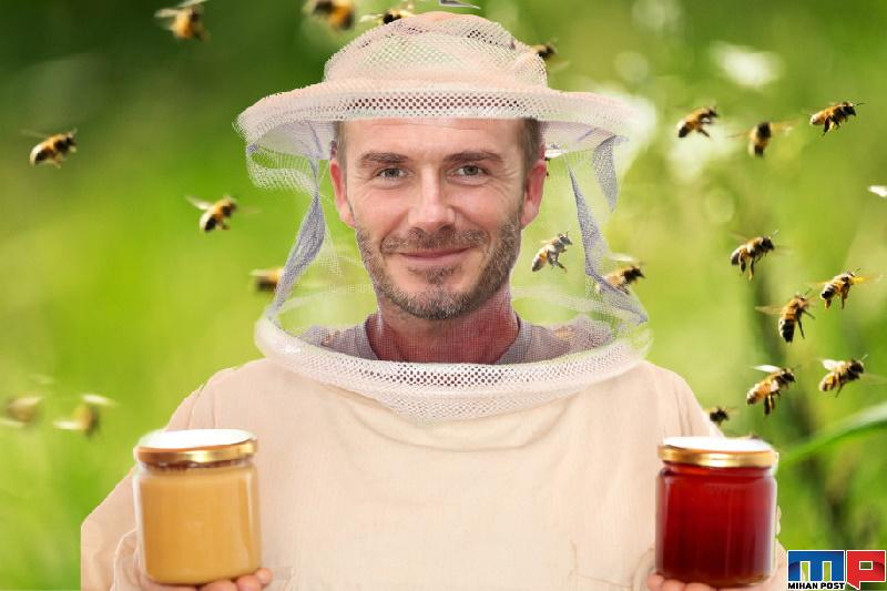 زنبورداری دیوید بکهام