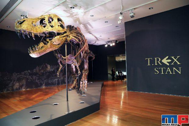 کامل ترین اسکلت تیرانوسوروس رکس جهان به فروش رفت 3 کامل ترین اسکلت تیرانوسوروس رکس جهان