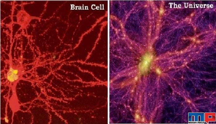 شباهت بین مغز و ساختار جهان