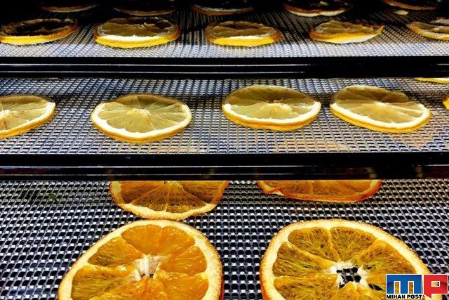 فناوری باد یونی و تغییر تکنولوژی خشک کردن میوه ها 5 فناوری باد یونی