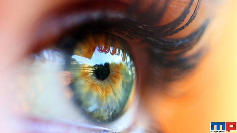 ساخت شبکیه مصنوعی و درمان تباهی لکه زرد در چشم 14 ساخت شبکیه مصنوعی