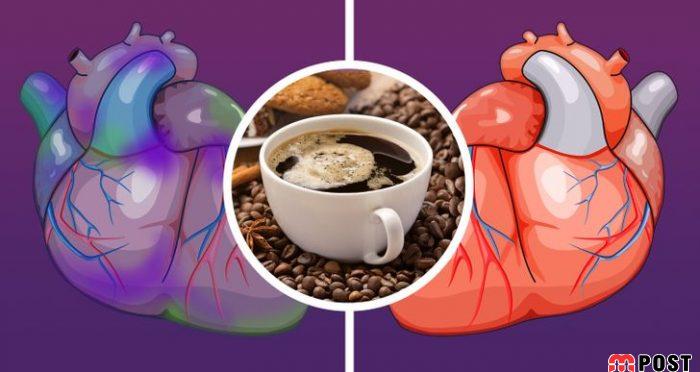 روزی چند فنجان قهوه بخوریم