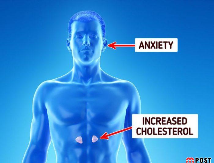 ۸ آسیب جدی صبحانه نخوردن؛ از چاقی تا تا سردرد و سرگیجه 9 صبحانه نخوردن