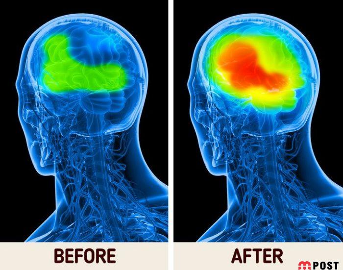 ۸ آسیب جدی صبحانه نخوردن؛ از چاقی تا تا سردرد و سرگیجه 5 صبحانه نخوردن