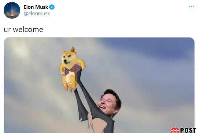 ارزش دوج کوین پس از توییت ایلان ماسک ۵۹ درصد افزایش یافت 2 دوج کوین