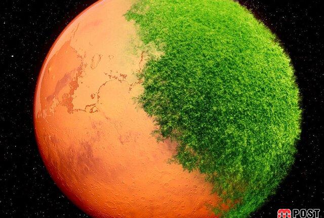 مریخ نورد استقامت