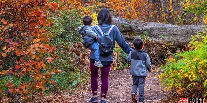 هورمون های انسان با تغییر فصل دچار نوسان می شود 6 هورمون های انسان