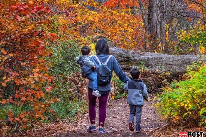 هورمون های انسان با تغییر فصل دچار نوسان می شود 2 هورمون های انسان