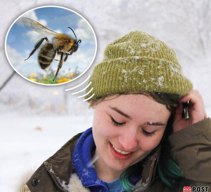 استفاده نادرست از هدفون چه خطراتی برای سلامتی گوش و بدن دارد؟ 6 استفاده نادرست از هدفون