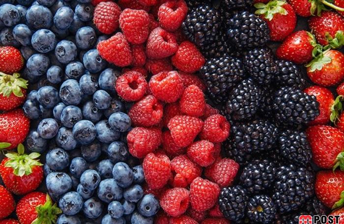 ۱۱ مواد غذایی مفید برای تقویت حافظه که نباید از آنها غافل شوید 2 تقویت حافظه