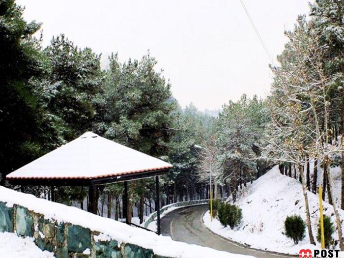 شیان لویزان، زیباترین پارک جنگلی تهران را بشناسیم + عکس 5 زیباترین پارک جنگلی تهران