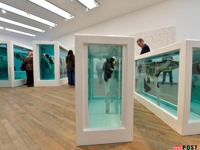 نگاهی به گرانترین اتاق هتل جهان در ایالت نوادا + عکس 20 گرانترین اتاق هتل جهان