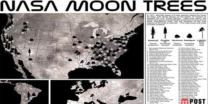 ناسا نقشه ای از محل قرارگیری درختان ماه منتشر کرد 31 درختان ماه